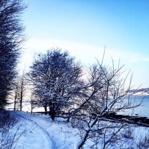 Walking in the Snow - a treasure of inspiration